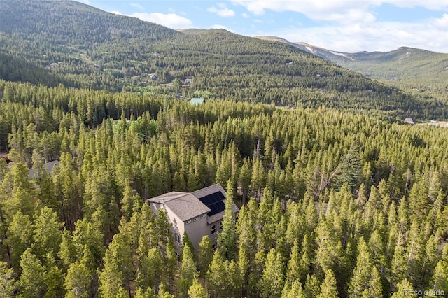 258 Upper Forest Rd, Idaho Springs, CO 80452 - photo 35