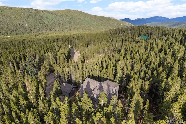 258 Upper Forest Rd, Idaho Springs, CO 80452 - photo 36