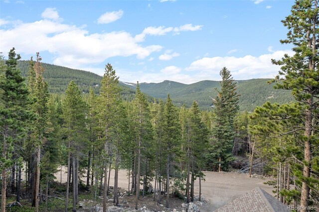 258 Upper Forest Rd, Idaho Springs, CO 80452 - photo 37