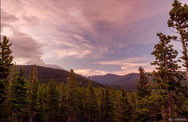 258 Upper Forest Rd, Idaho Springs, CO 80452 - photo 38