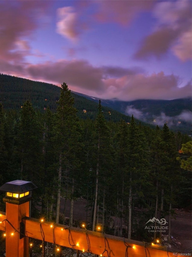 258 Upper Forest Rd, Idaho Springs, CO 80452 - photo 45