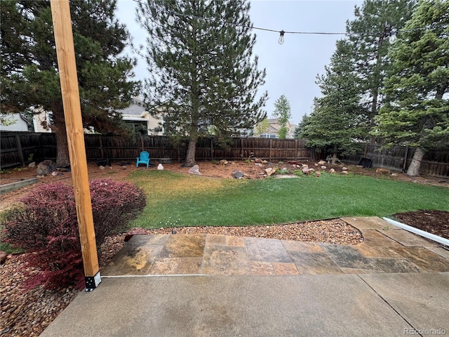 view of yard with a fenced backyard and a patio
