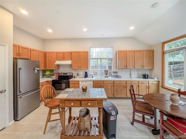 9806 Hooker Ct, Westminster, CO 80031 - kitchen featuring freestanding refrigerator, electric stove, lofted ceiling, dishwasher, and under cabinet range hood