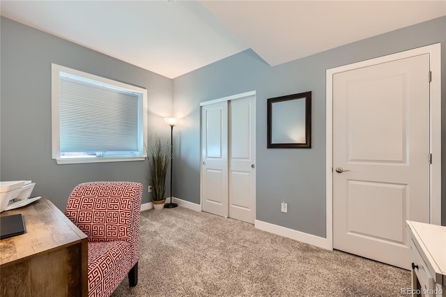 2112 Peralta Loop, Castle Rock, CO 80104 - photo 36