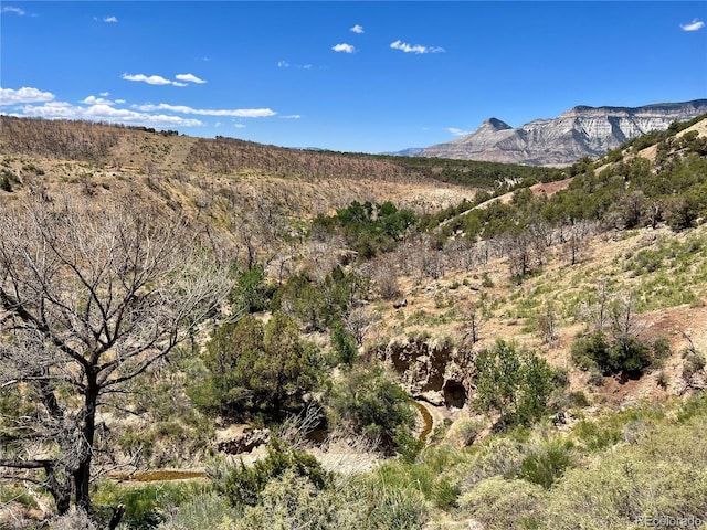 1691 County Road 300, Parachute, CO 81635