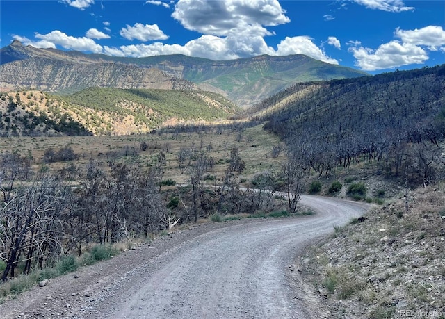 1691 County Road 300, Parachute, CO 81635