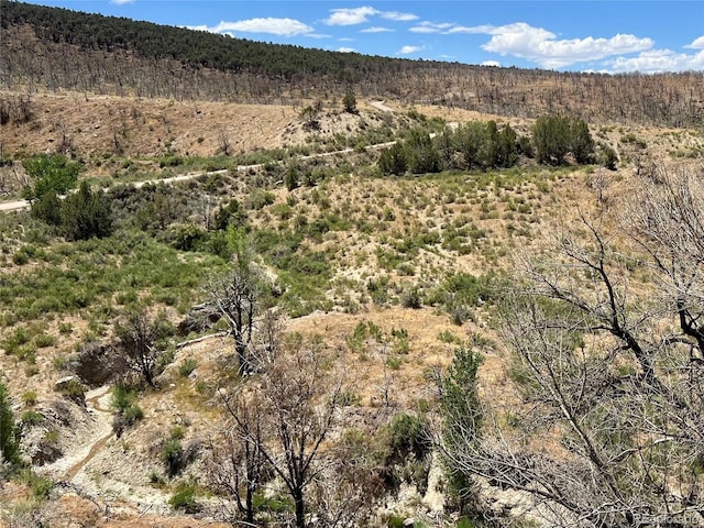 1691 County Road 300, Parachute, CO 81635