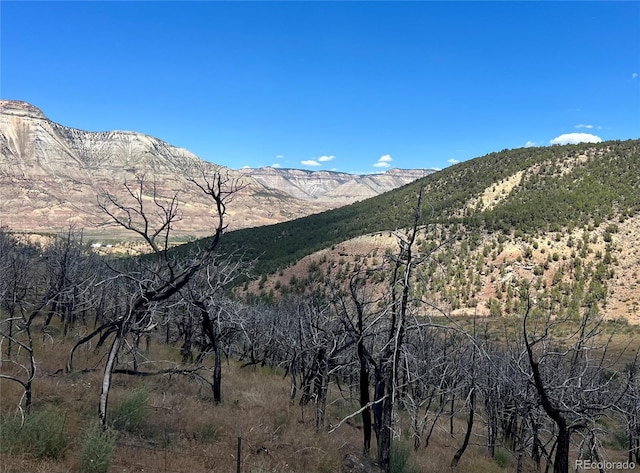 1691 County Road 300, Parachute, CO 81635