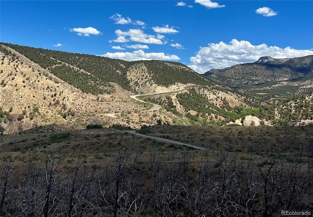 1691 County Road 300, Parachute, CO 81635