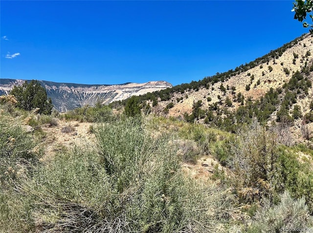 1691 County Road 300, Parachute, CO 81635