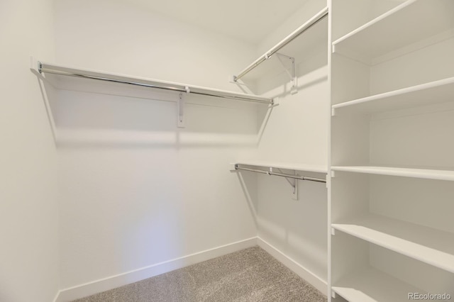2968 S Poppy St, Morrison, CO 80465 - spacious closet featuring carpet