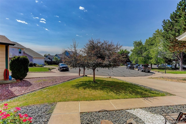 10181 Detroit Ct, Thornton, CO 80229 - view of grassy yard with a residential view