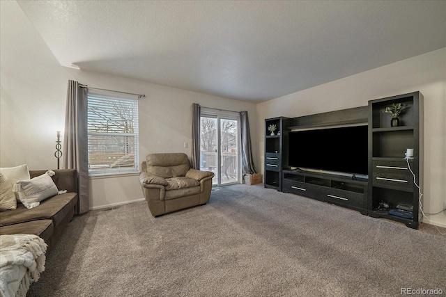 living room with carpet and a wealth of natural light