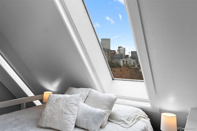 1136 N Logan St Unit 8, Denver, CO 80203 - photo 18