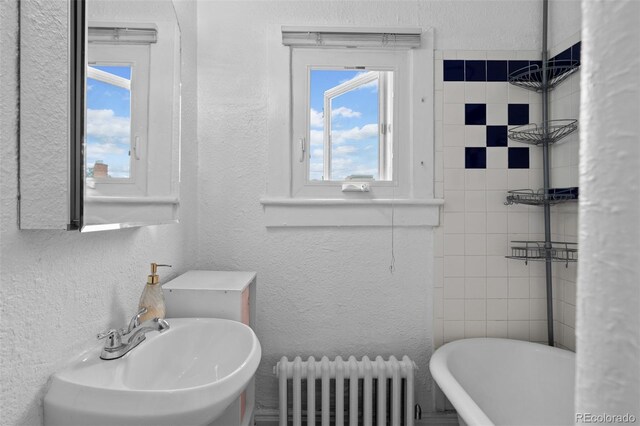 1136 N Logan St Unit 8, Denver, CO 80203 - photo 19