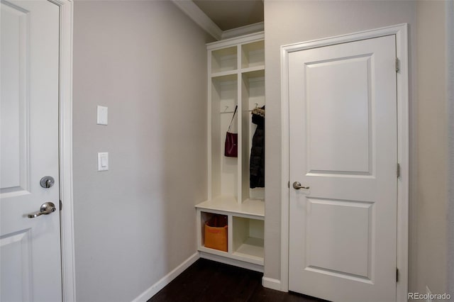 mudroom featuring crown molding and dark hardwood / wood-style floors