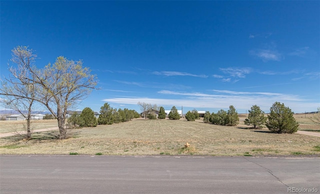 11170 Peaceful Valley Rd, Colorado Springs, CO 80925 - view of yard