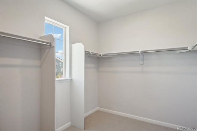 walk in closet with carpet floors