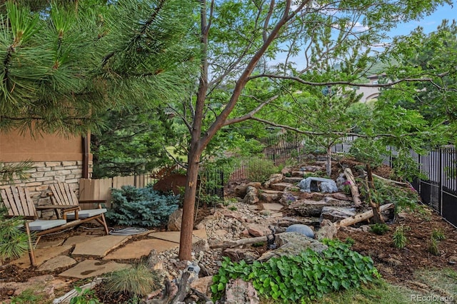 view of yard with a patio area