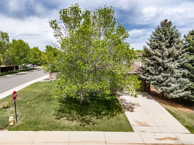 16309 Hedgeway Dr, Parker, CO 80134 - photo 6