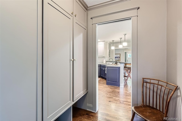 1224 Glencoe St, Denver, CO 80220 - hall with light wood-style floors and ornamental molding