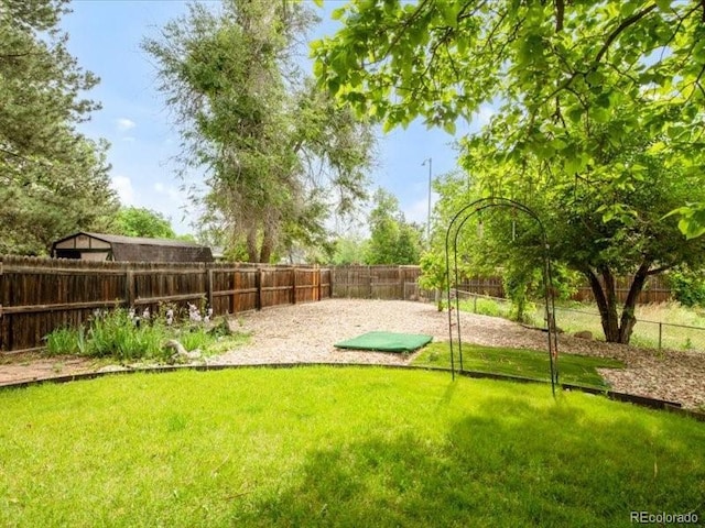 3914 E 116th Pl, Thornton, CO 80233 - view of yard