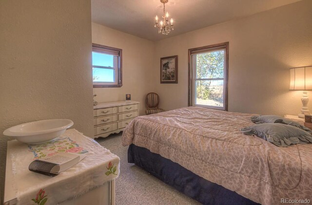 1374 N Rd 110, Mosca, CO 81146