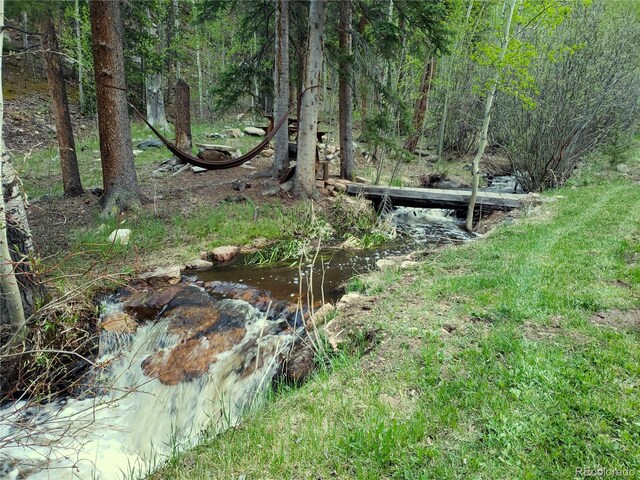 429 Rd P53, Bailey, CO 80421 - photo 3