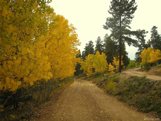 429 Rd P53, Bailey, CO 80421 - photo 5