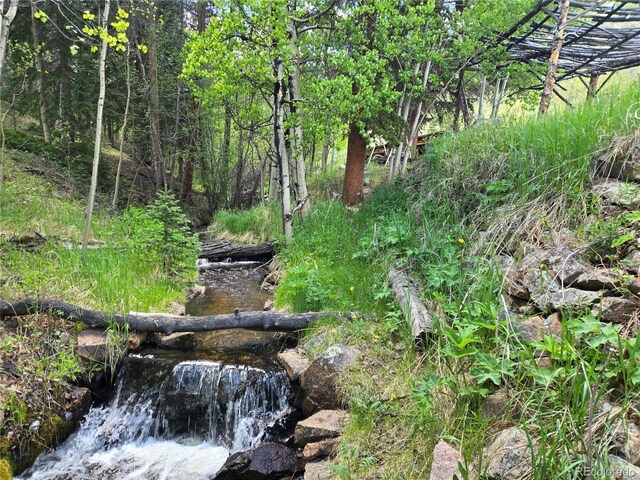 429 Rd P53, Bailey, CO 80421 - photo 12