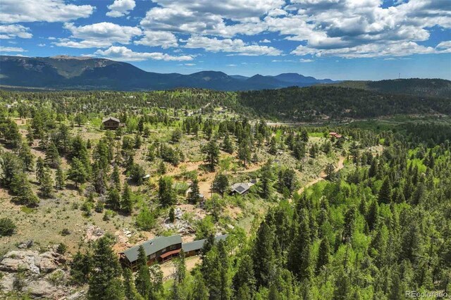 429 Rd P53, Bailey, CO 80421 - photo 14