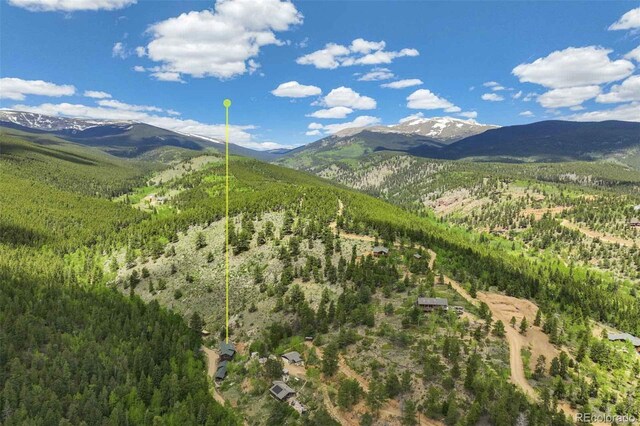 429 Rd P53, Bailey, CO 80421 - photo 16