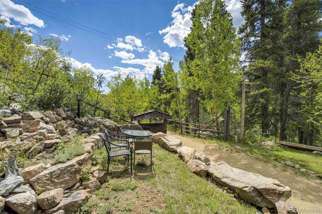 429 Rd P53, Bailey, CO 80421 - photo 45