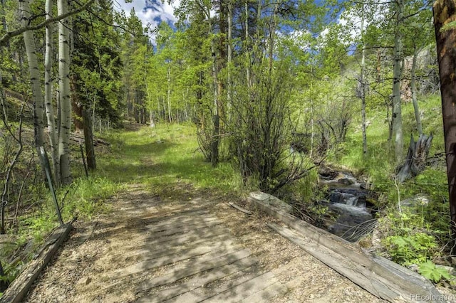 429 Rd P53, Bailey, CO 80421 - photo 47