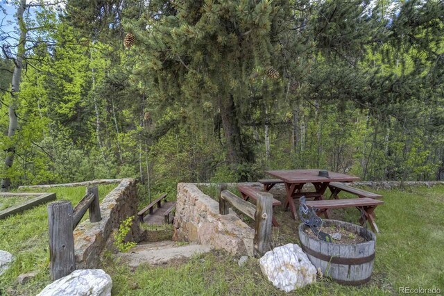 429 Rd P53, Bailey, CO 80421 - photo 49