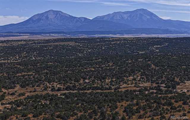 Coyote Lk, Walsenburg CO, 81089 land for sale