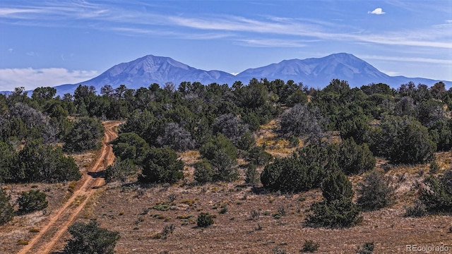 Coyote Lk, Walsenburg CO, 81089 land for sale