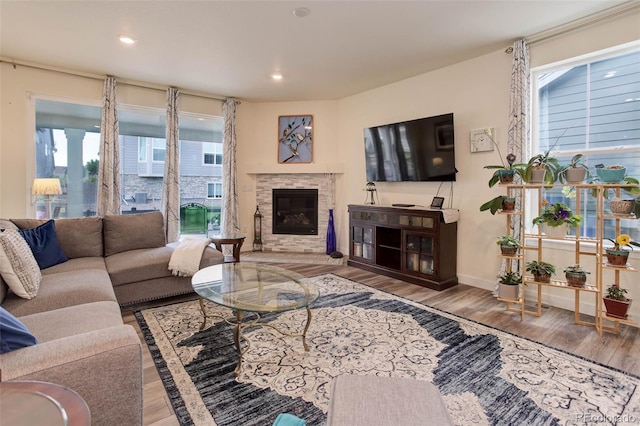 living room featuring plenty of natural light, hardwood / wood-style flooring, and a fireplace