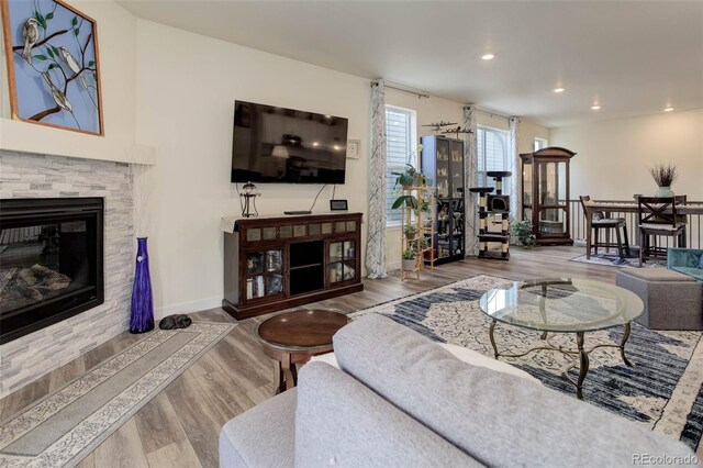 living room featuring a stone fireplace and wood-type flooring