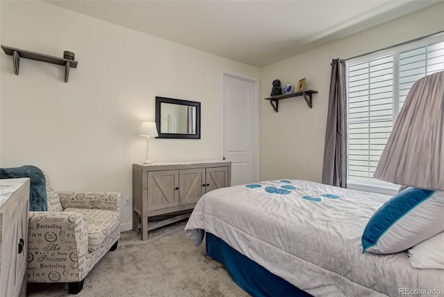 carpeted bedroom with multiple windows