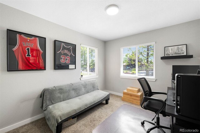 5125 Umatilla St, Denver, CO 80221 - carpeted office with baseboards