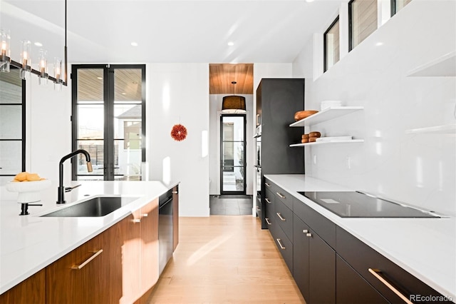 kitchen featuring light countertops, black electric stovetop, modern cabinets, and a sink