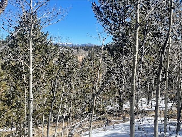 83 Killdeer Trl, Como CO, 80432 land for sale