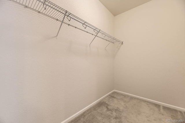 1388 Castle Creek Cir, Castle Rock, CO 80104 - photo 16