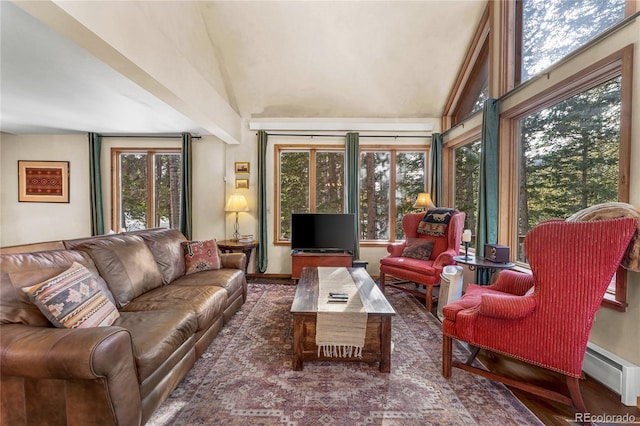 609 Brook Dr, Idaho Springs, CO 80452 - living area featuring a baseboard heating unit, plenty of natural light, and lofted ceiling