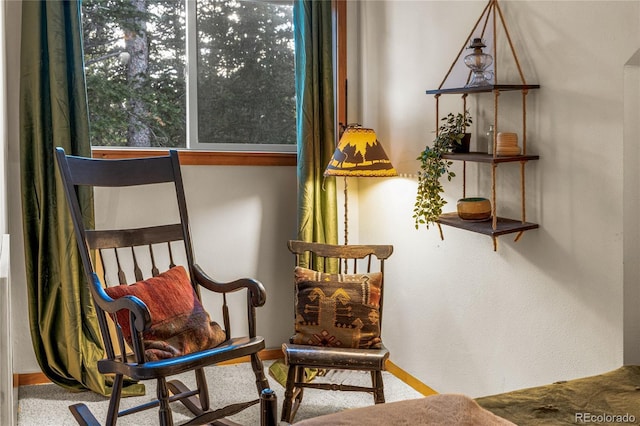 609 Brook Dr, Idaho Springs, CO 80452 - living area with baseboards and carpet flooring