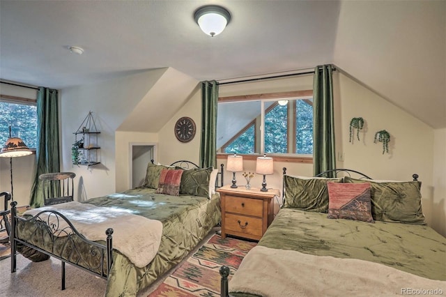 609 Brook Dr, Idaho Springs, CO 80452 - bedroom featuring multiple windows and lofted ceiling