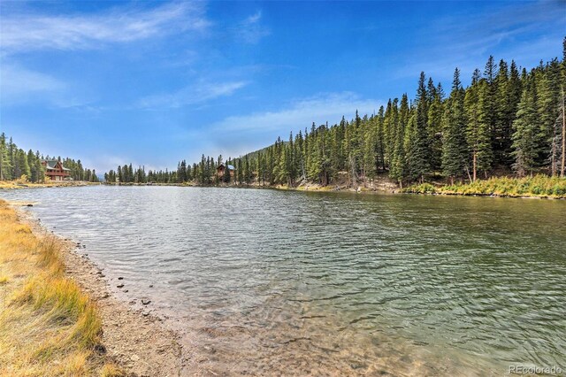 609 Brook Dr, Idaho Springs, CO 80452 - water view featuring a heavily wooded area