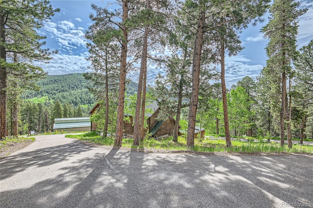 view of street featuring driveway and a view of trees