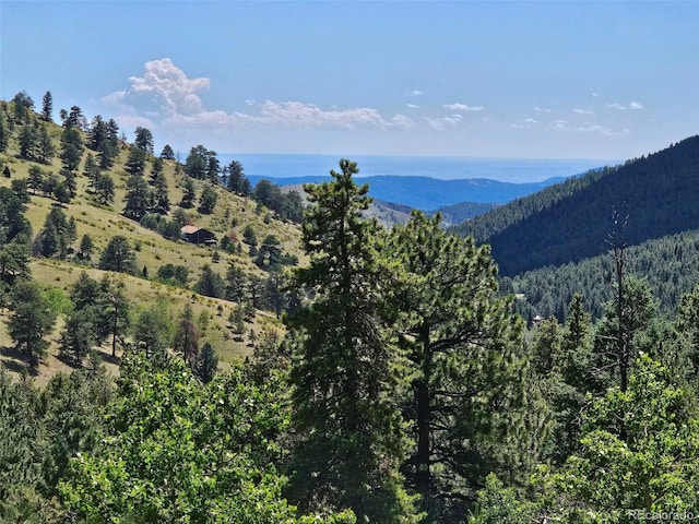 view of mountain feature with a view of trees